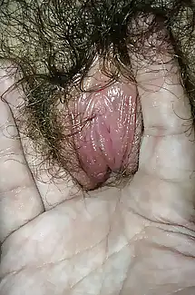 ID my wifes hairy hole