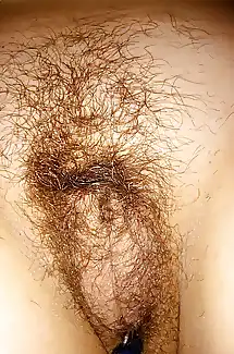 wifes hairy pussy