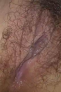 Shy Asian showing off her hairy pussy